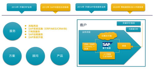 中建信息攜手SAP，解碼企業(yè)數(shù)字化未來 信息咨詢服務(wù)的新篇章